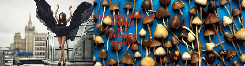 Псилоцибиновые грибы Magic Shrooms  Билибино 